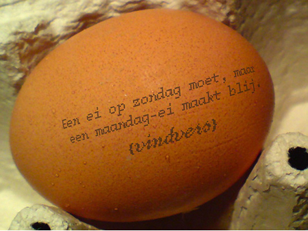 2008-03-10-Vindvers.jpg